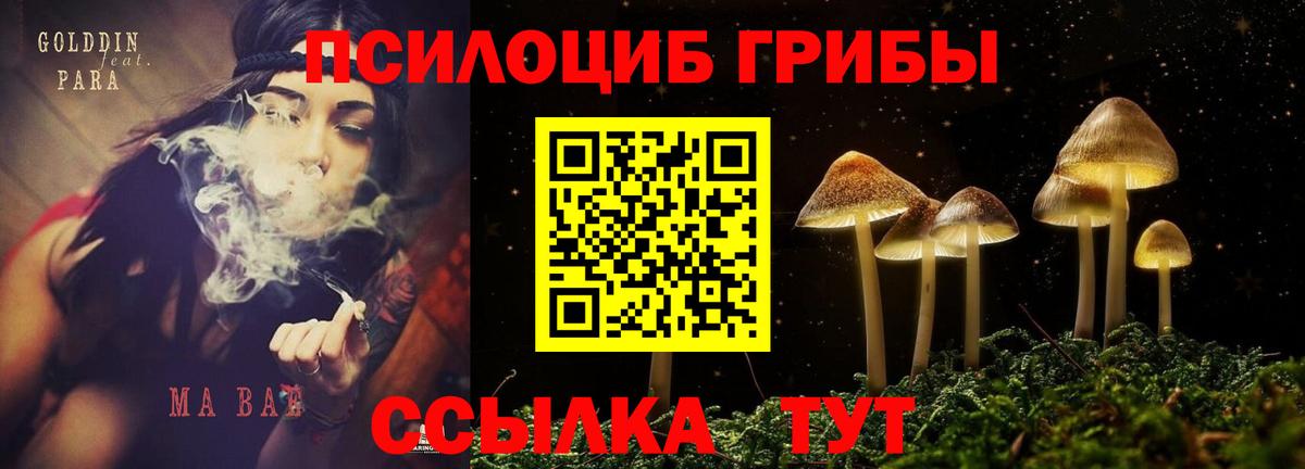 Галлюциногенные грибы MAGIC MUSHROOMS  купить  цена  Галлюциногенные грибы мицелий  Дагестанские Огни  Вход с VPN 